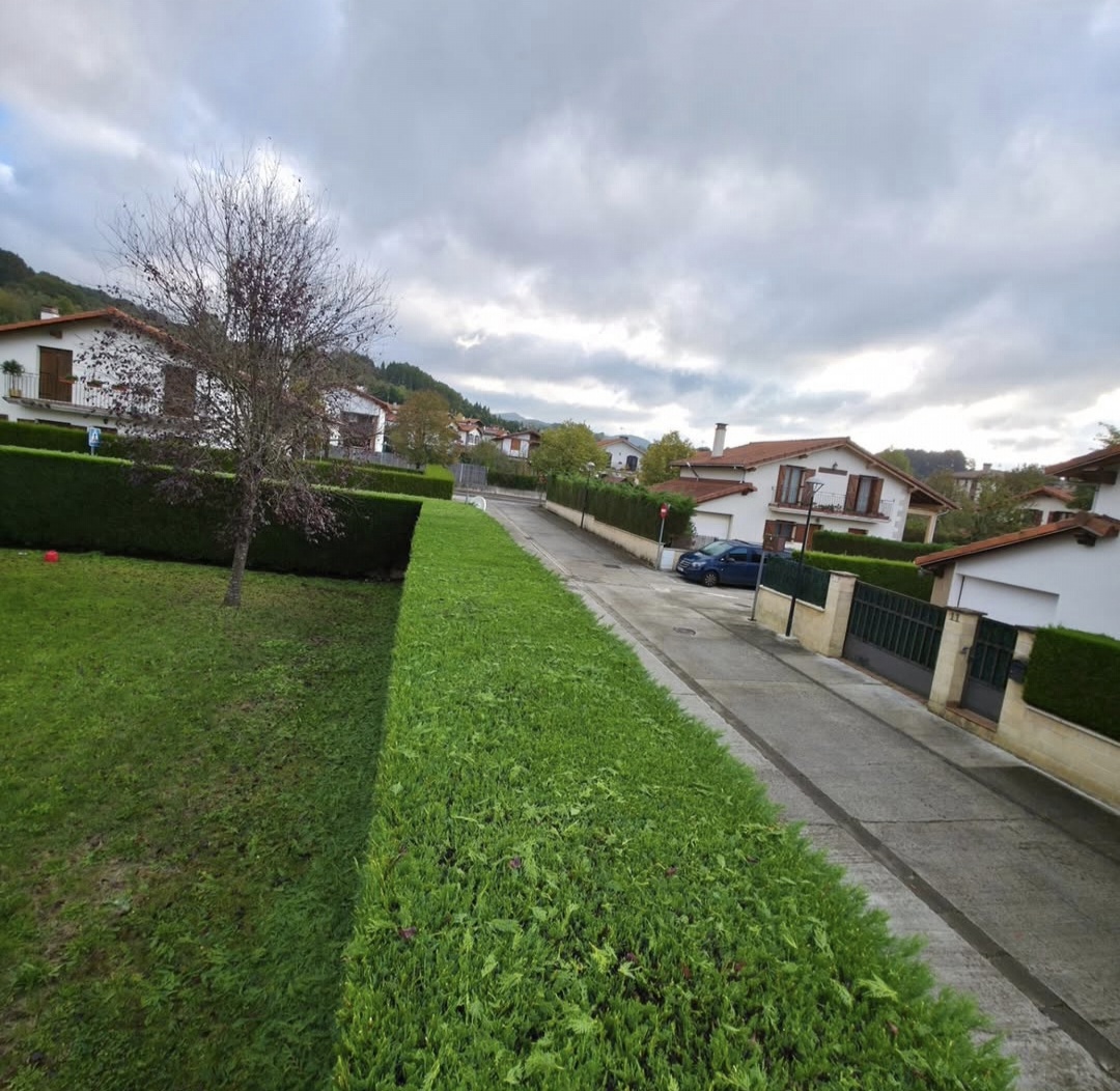 Mantenimiento de césped y setos en zona residencial